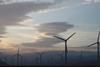 sustainability windmills