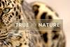 True to Nature credit Sky Studios