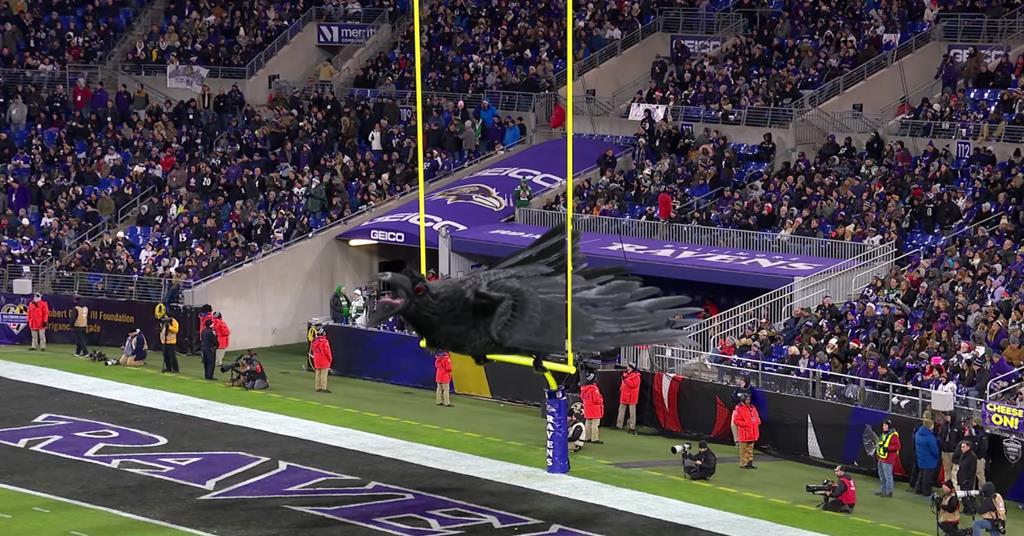 Ravens will host no fans at M&T Bank Stadium for initial part of 2020 season