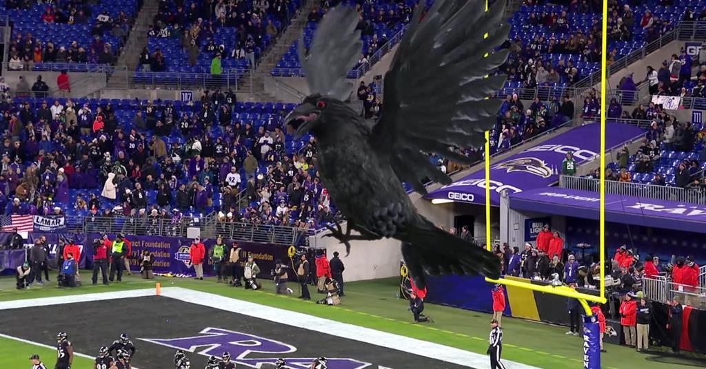 baltimore ravens game live