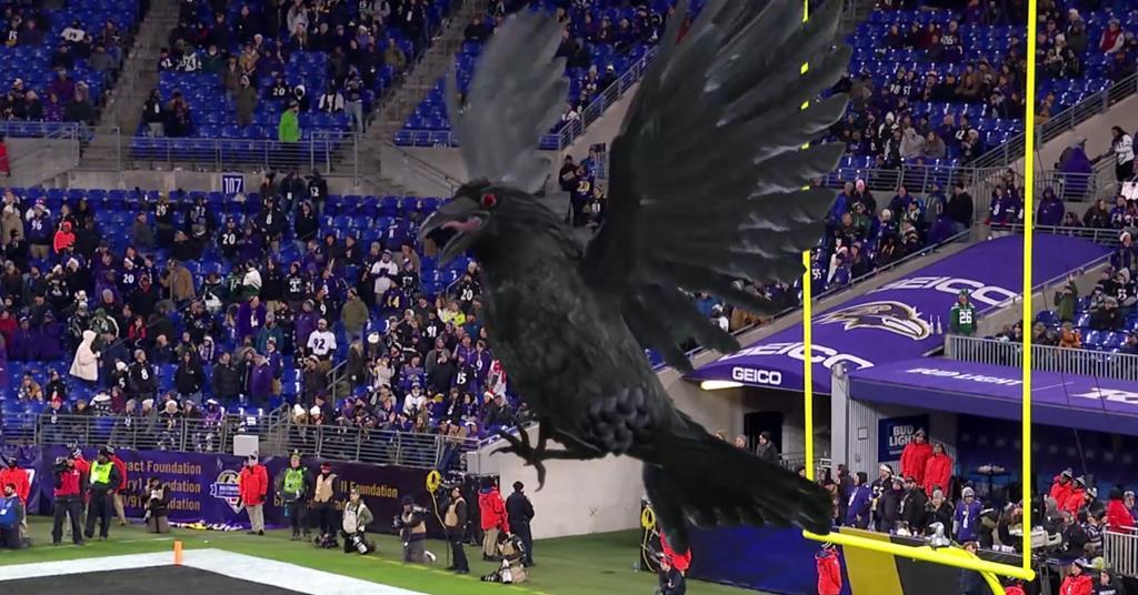 How We Built It: The Famous Group thrills Baltimore Ravens fans with mixed  reality mascot, Industry Trends