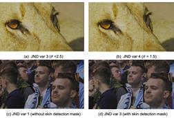Visual analysis of the application of skin detection and changes to luminous adaptation.