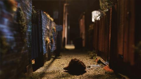 Hedgehog Close-promo-still-1 ©Zest Productions