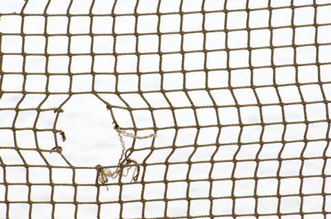 Hole in the net